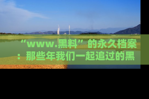 “www.黑料”的永久档案:那些年我们一起追过的黑料真相
