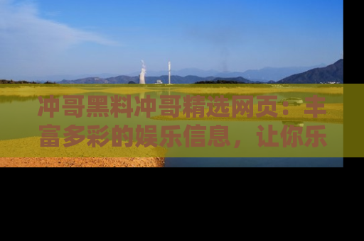 冲哥黑料冲哥精选网页：丰富多彩的娱乐信息，让你乐不停息