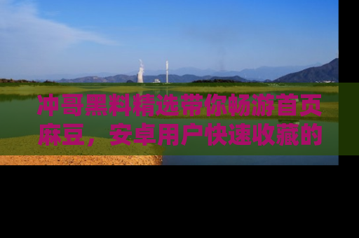 冲哥黑料精选带你畅游首页麻豆，安卓用户快速收藏的秘密武器！