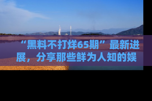 “黑料不打烊65期”最新进展，分享那些鲜为人知的娱乐八卦