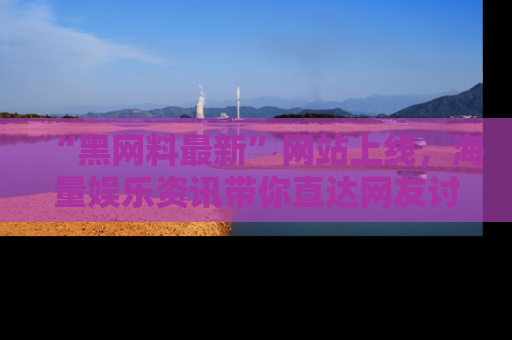 “黑网料最新”网站上线,海量娱乐资讯带你直达网友讨论的中心!