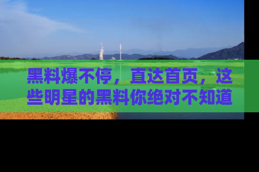 黑料爆不停，直达首页，这些明星的黑料你绝对不知道！