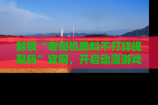 解锁“老司机黑料不打烊提取码”官网,开启动漫游戏的新次元之旅!