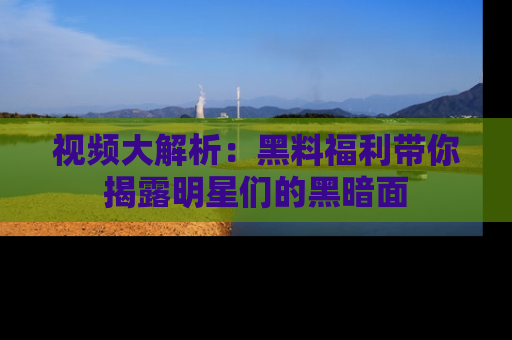 视频大解析:黑料福利带你揭露明星们的黑暗面