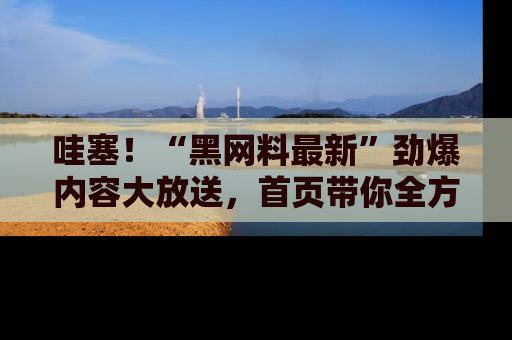 哇塞!“黑网料最新”劲爆内容大放送,首页带你全方位了解哦,小可爱们