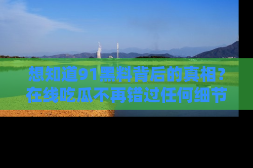 想知道91黑料背后的真相?在线吃瓜不再错过任何细节