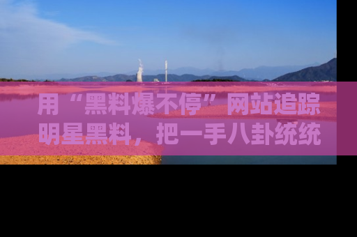 用“黑料爆不停”网站追踪明星黑料，把一手八卦统统收进你的后宫中！
