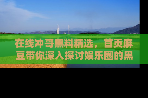 在线冲哥黑料精选，首页麻豆带你深入探讨娱乐圈的黑暗面