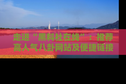走进“黑料社在线”:推荐高人气八卦网站及便捷链接的全面指南