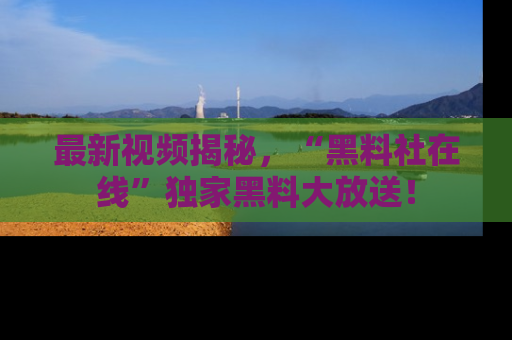 最新视频揭秘,“黑料社在线”独家黑料大放送!